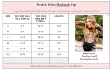 Load image into Gallery viewer, PREORDER Mila Mesh &amp; Velvet High Neck Top by WLM